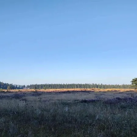 5 Star In Hovborg-by Traum Prázdninový dům *