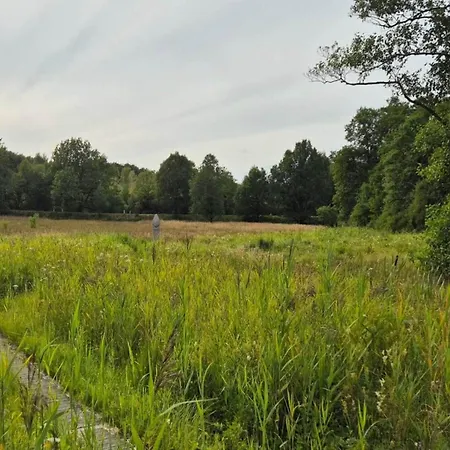 5 Star In Hovborg-by Traum *