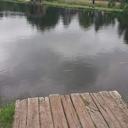 5 Star In Hovborg-by Traum