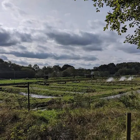 5 Star In Hovborg-by Traum Prázdninový dům Hovborg