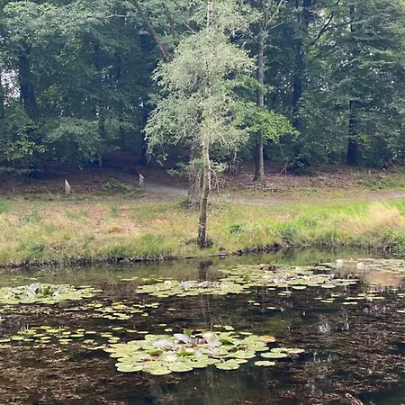 5 Star In Hovborg-by Traum *