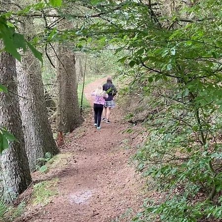 5 Star In Hovborg-by Traum