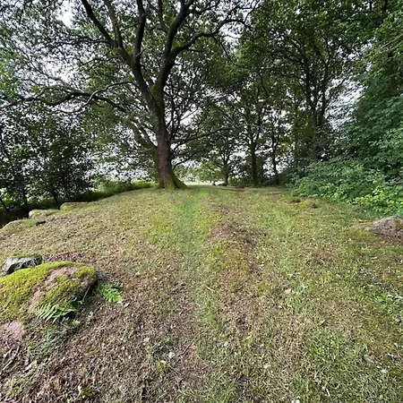 5 Star In Hovborg-by Traum *