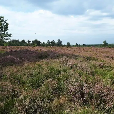 Prázdninový dům 5 Star In Hovborg-by Traum *