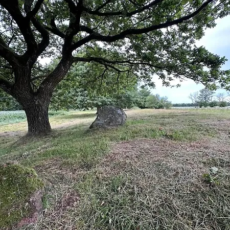 5 Star In Hovborg-by Traum