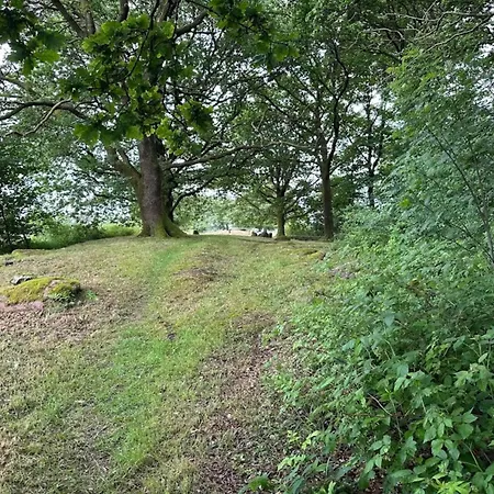 5 Star In Hovborg-by Traum